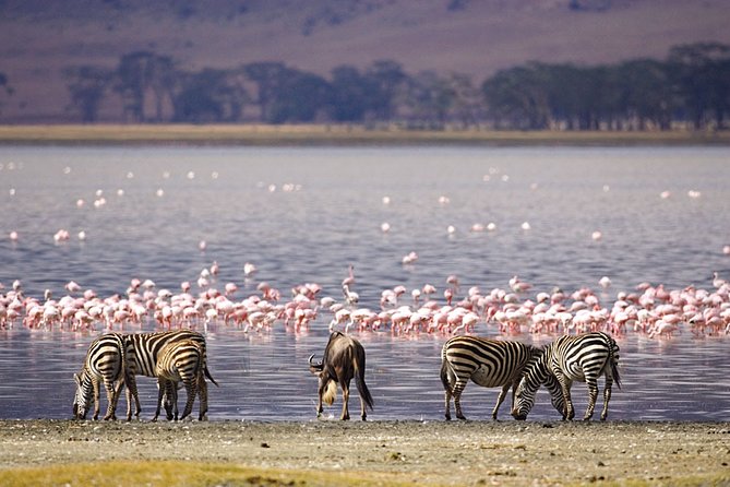 Full-Day Lake Nakuru National Park from Nairobi - A Nairobi to Lake Nakuru day that starts with real scenery