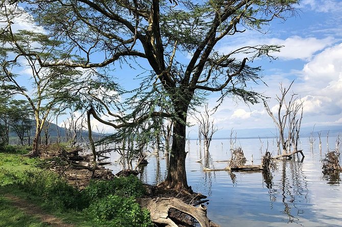 Full-Day Lake Nakuru National Park from Nairobi - The drive through the Great Rift Valley: breaks that matter