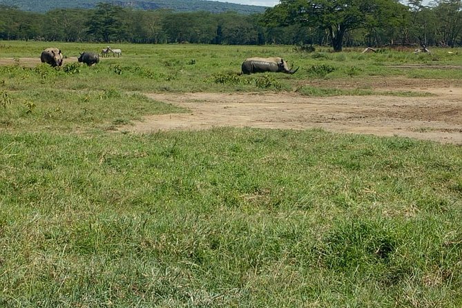 Full-Day Lake Nakuru National Park Private Tour from Nairobi - Key highlights before you go