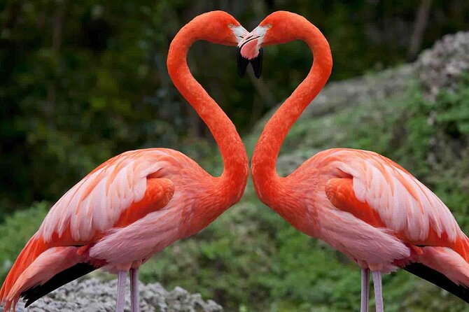 Full-Day Lake Nakuru National Park Private Tour from Nairobi - The early 6:00am start, Nairobi to the Great Rift Valley viewpoint