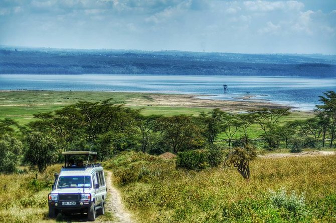 Full Day Lake Nakuru Park and optional boat ride on Lake Naivasha - Price and value: what the $202 covers, and what costs extra