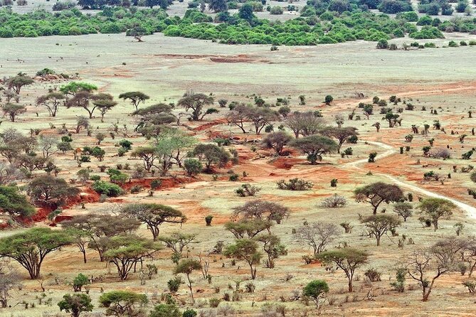 Full Day Private Tour of Tsavo East National Park from Mombasa - Vehicle comfort on a long day: pop-up roof plus bumpy-road reality