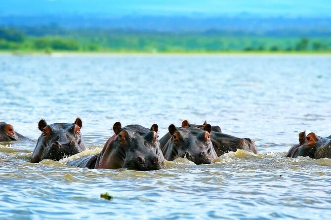 Full day private tour to Hells Gate National park from Nairobi. - Cycling Through Hell’s Gate: A More Adventurous Way to Travel