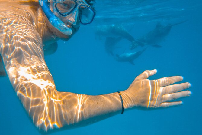 Full-Day Special Wasini Island Tour with Snorkeling and Lunch - Key highlights worth your morning