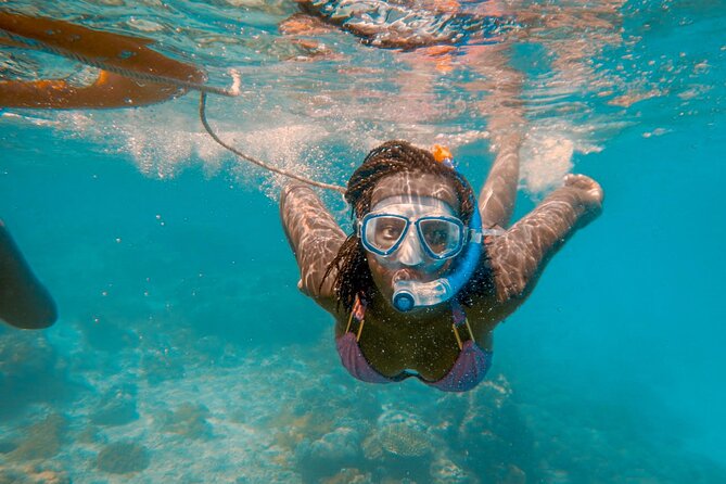 Full-Day Special Wasini Island Tour with Snorkeling and Lunch - Getting to Kisite-Mpunguti: the early start that sets the whole day