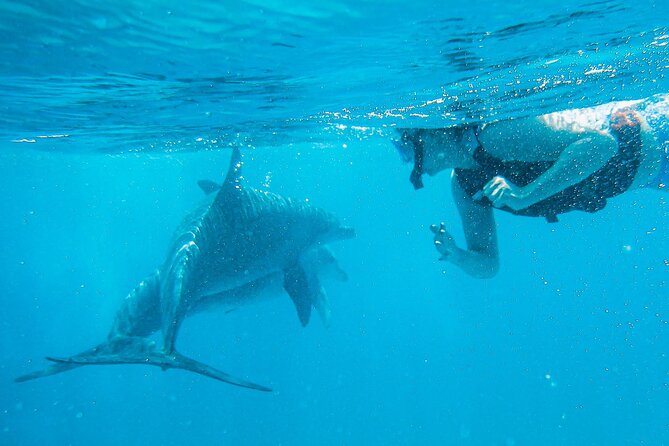 Full-Day Special Wasini Island Tour with Snorkeling and Lunch - Wasini Island: lunch, Coral Garden time, and what to wear