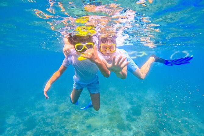 Full-Day Special Wasini Island Tour with Snorkeling and Lunch - Price and value at $126.78: what you are really paying for