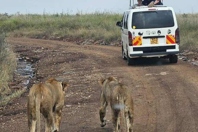 Full Day Tour in Amboseli National Park from Nairobi - When this Amboseli day tour is the right fit