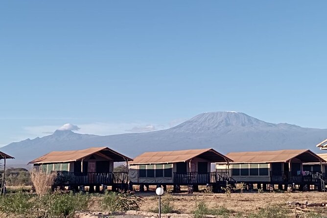 Full Day Tour in Amboseli National Park from Nairobi - Arriving at Amboseli around 9 am for the first game viewing