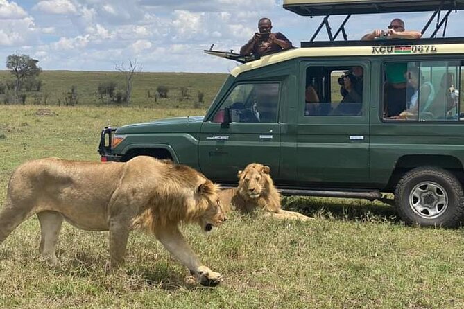 Full Day tour to Lake Nakuru National Park From Nairobi - Safari vehicle comfort, guide approach, and how you actually get good sightings