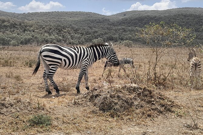 Full Day tour to Lake Nakuru National Park From Nairobi - Price and what $160 per person really covers