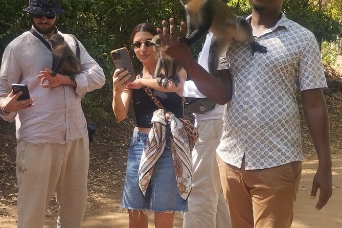 Gede Ruins & Malindi Tour - Price and value for a group up to 4 (and why it can be fair)