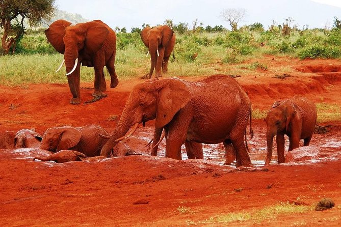 Giraffe Center and David Sheldrick Elephant Orphanage Tour - Kazuri Beads factory: turning a souvenir stop into a real skill-and-process lesson