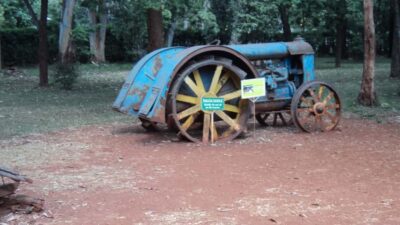 Giraffe Center and Karen Blixen Museum Tour from Nairobi