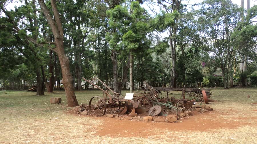 Giraffe Center and Karen Blixen Museum Tour from Nairobi - How Long It Really Takes: The 4-5 Hour Flow