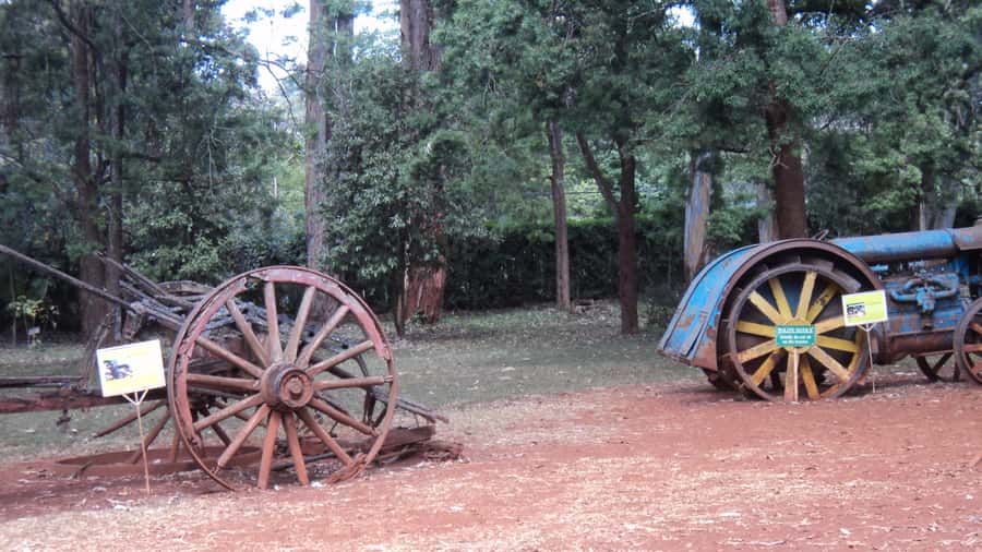 Giraffe Center and Karen Blixen Museum Tour from Nairobi - Price and Value: Is $99 Per Person Fair?