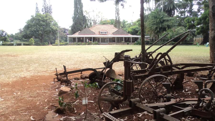 Giraffe Center and Karen Blixen Museum Tour from Nairobi - Who This Tour Fits Best (And Who Should Rethink It)