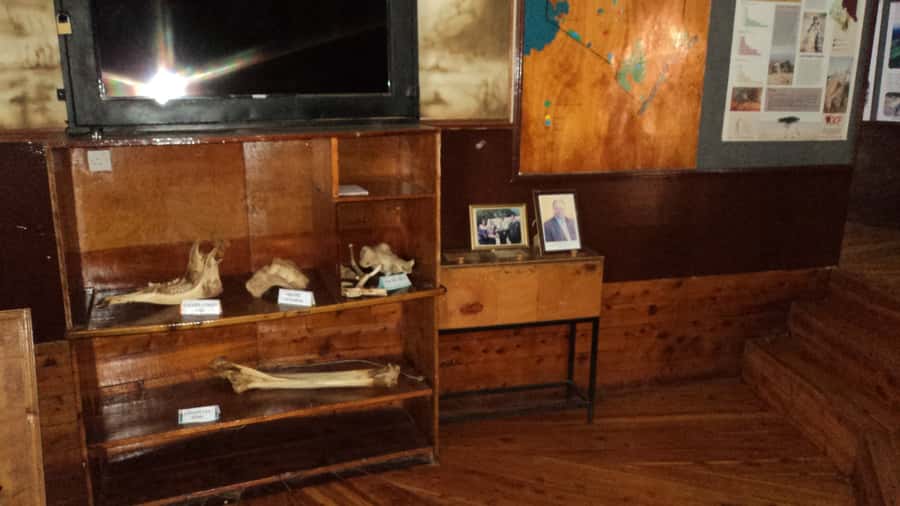 Giraffe Center and Karen Blixen Museum Tour from Nairobi - What to Bring and Small Tips That Make a Difference