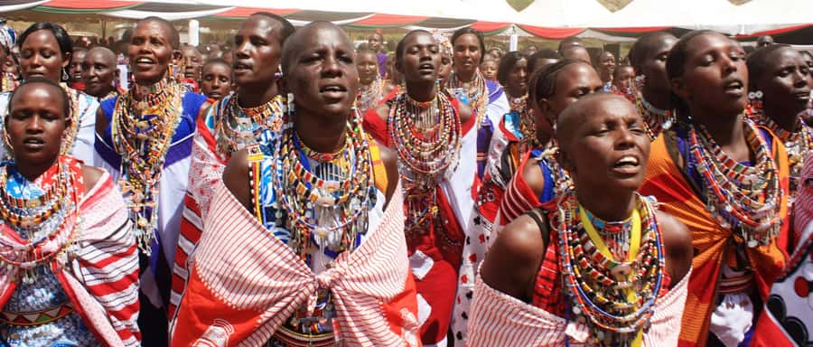 Giraffe Center, Elephant Orphanage and Bomas of Kenya Tour - David Sheldrick Wildlife Trust: baby elephant stories, names, and a strict 11am to 12 noon stop