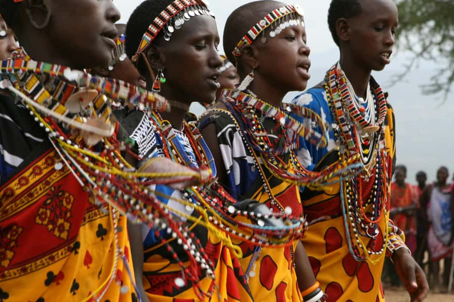 Giraffe Center, Elephant Orphanage and Bomas of Kenya Tour - Is this the right tour for you?