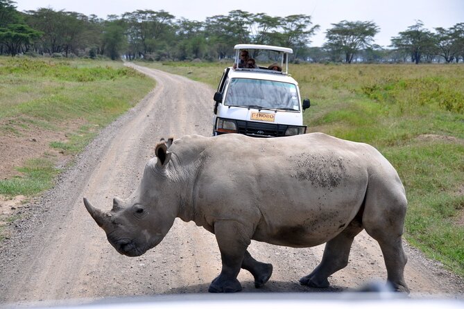 Giraffe Center, Elephant Orphanage and Nairobi National Park Day Tour Nairobi - Price, Value, and What You Pay For (Not Just a Number)