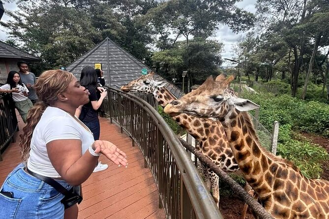 Giraffe Centre and Bomas of Kenya from Nairobi - A tight Nairobi day with three major experiences