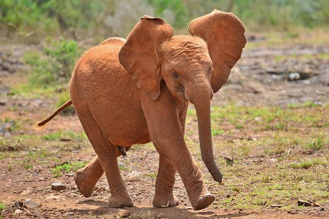 Giraffe Centre, Elephant Orphanage, and Bomas of Kenya Day Tour from Nairobi - Stop 3, Kobe Beads (Kazuri-style) and leather: turning craft into a souvenir with meaning