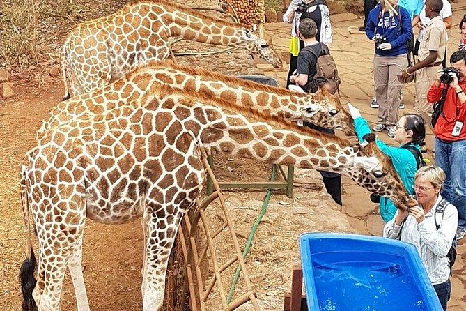Giraffe Centre, Elephant Orphanage, National Museum & Beads Center - Kazuri Beads workshop: turning clay into craft
