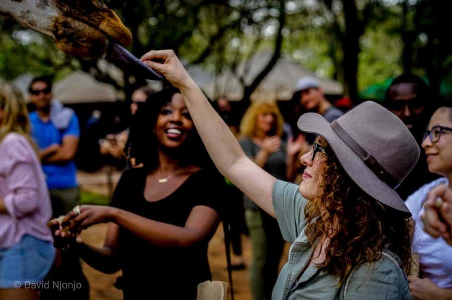 Giraffe, Elephant Orphanage - Pickup in Nairobi at 9:30, then a day that moves