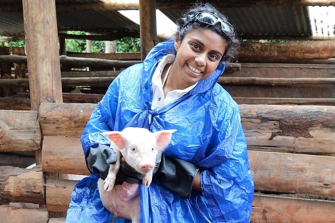 Go Granny Go - An Amazing Cultural Tour in Kenya - Inside the Pig Farming Program: Practical Work, Real Income