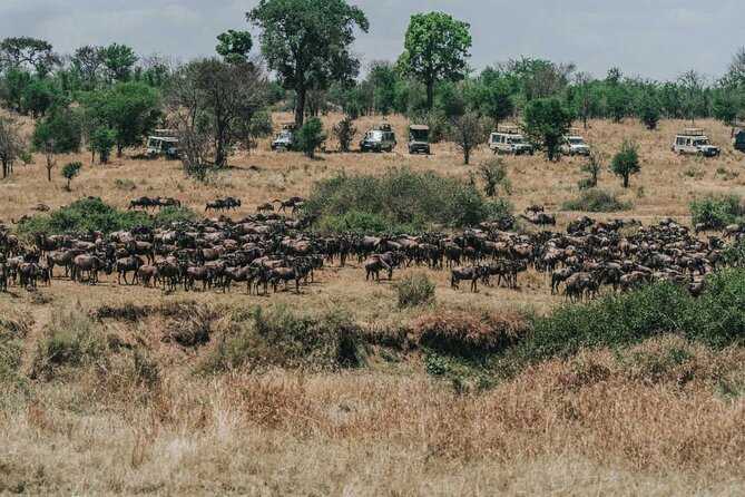 Great Wildebeest Migration Safari in Masai Mara - Day 1: Rift Valley views and your first Masai Mara evening drive