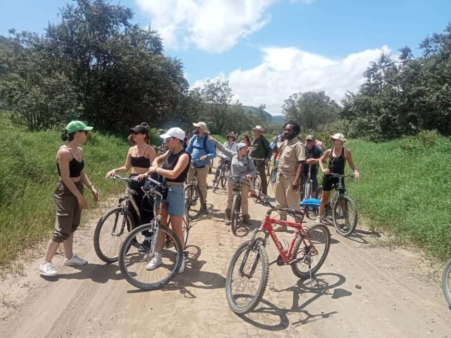 Group joining day tour to Hell's Gate and Lake Naivasha - Crescent Island Game Sanctuary: The Optional Giraffe and Zebra Walk
