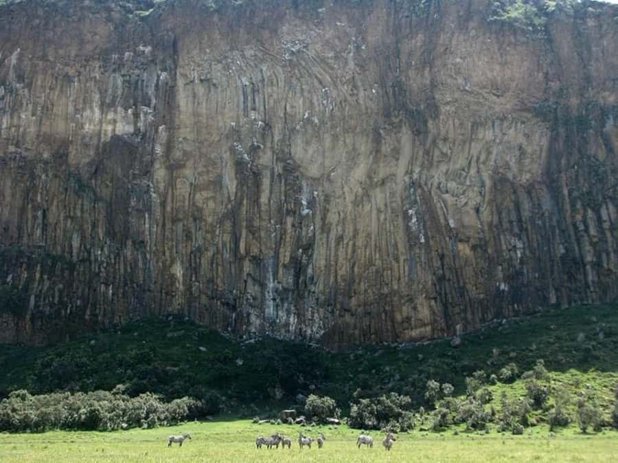 Group joining day tour to Hell's Gate and Lake Naivasha - Guide Style and Safety: What the Named Guides Are Getting Praise For
