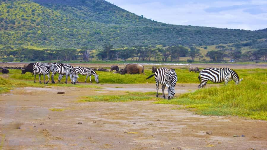 Group joining day trip to Lake Nakuru from Nairobi - Gear checklist: what to bring so you actually enjoy it