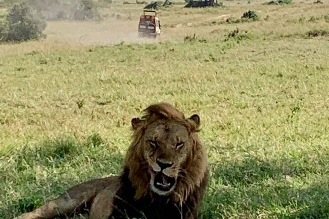 Group Joining Nairobi National Park and Giraffe Center - The guide factor: what to look for during the day