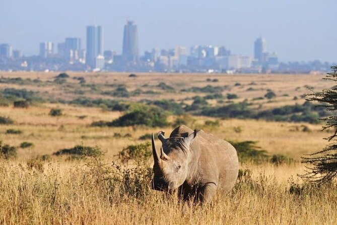 Group Joining Nairobi National Park and Giraffe Center - Who this tour suits best, and who might want another plan
