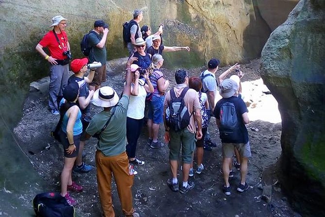 Guided Day Tour Safari of Parks Lake Naivasha and Hells Gate - Maasai community visit: cultural time built into the day
