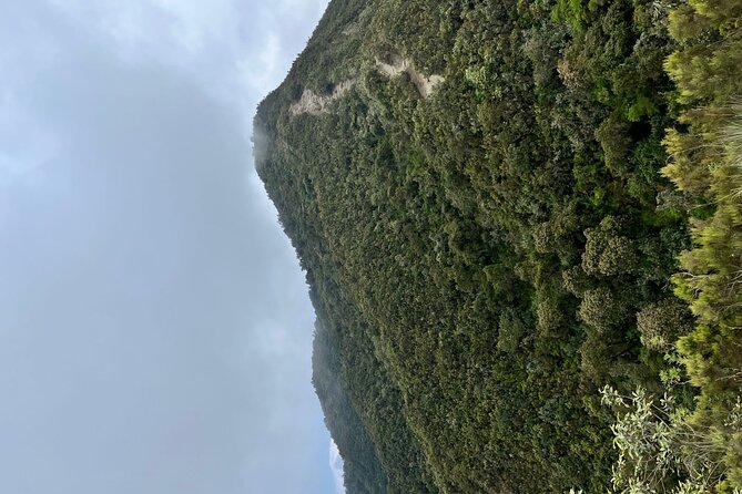 Guided Mount Longonot Hiking Day Trip - The Hike: Thick Crater Forest And Big Views From The Rim