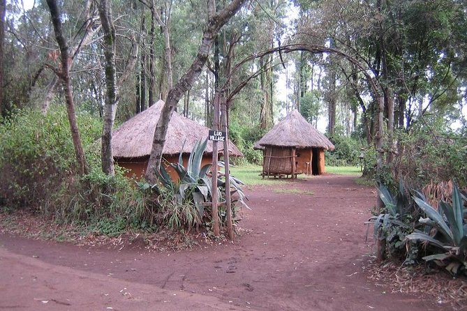 Half-Day Cultural Tour to Bomas of Kenya in Nairobi - Should You Book This Half-Day Bomas of Kenya Tour?