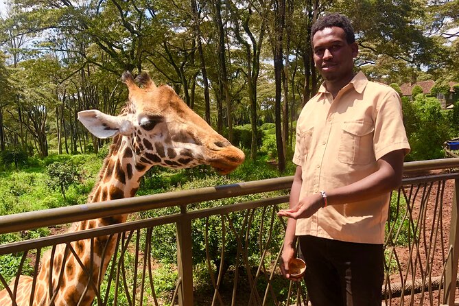 Half Day Excursion Tour in Nairobi - What you really pay: $40 tour plus conservation and entry fees