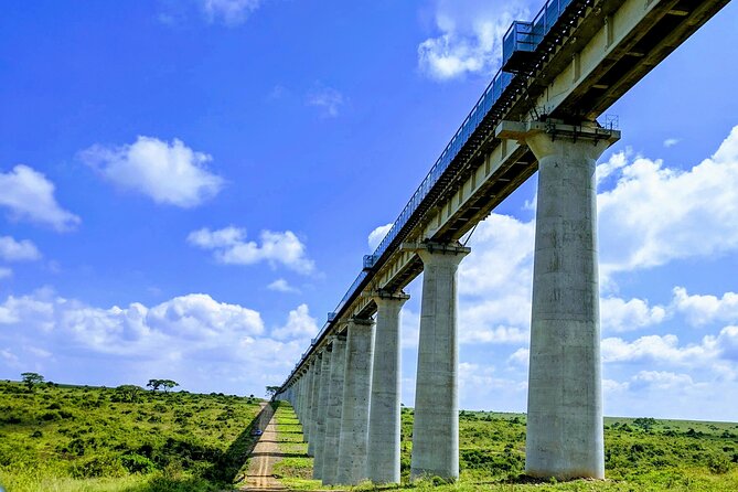 Half Day Nairobi National park - Nairobi National Park, the city-close safari that saves your time