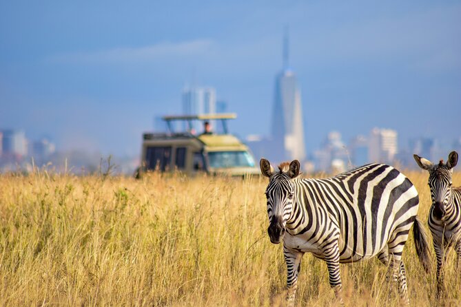 Half Day Nairobi National park - Small group size: why up to eight people feels like the sweet spot