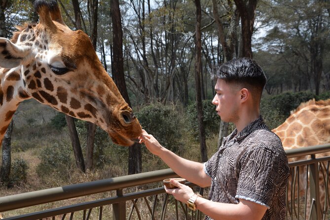 Half-Day Nairobi National Park and Maasai Market with Pick up - Who this tour fits, and who might want a different plan