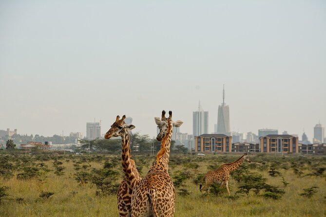 Half-Day Nairobi National Park and Maasai Market with Pick up - Hotel pickup and an open-roof Landcruiser for true 360 views