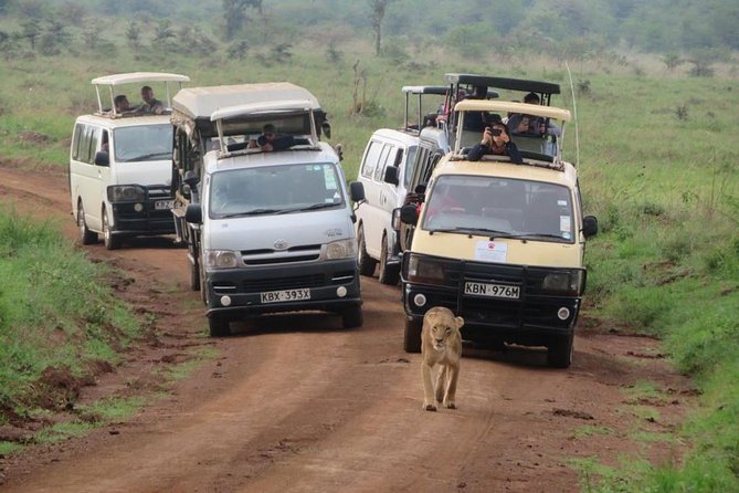 Half-Day Nairobi National Park Safari from Nairobi with Free Pickup - What animals you should expect to see near the Nairobi skyline