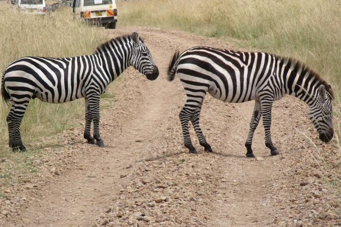 Half-Day Nairobi National Park Tour from Nairobi - Quick hits before you go