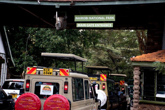 Half day Nairobi National Park Tour & Sheldrick Elephant Nursery - Wildlife odds: what early pickup can change for you