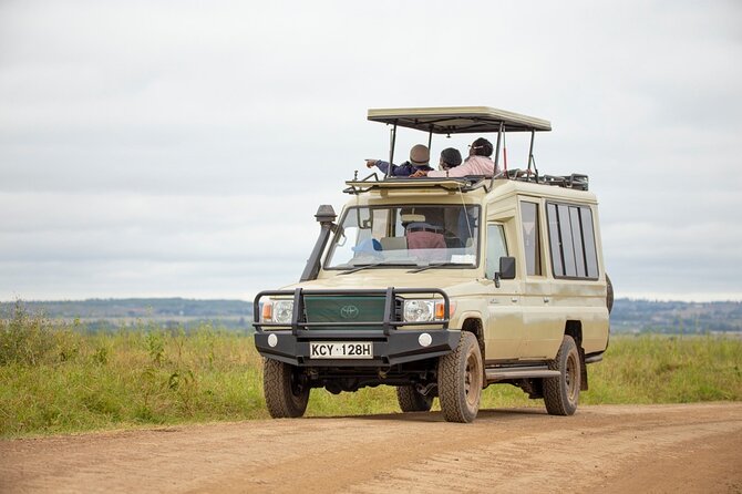 Half-Day Private Guided Safari Tour to Nairobi National Park - Door-to-door logistics from Nairobi: pickup, meet point, and timing