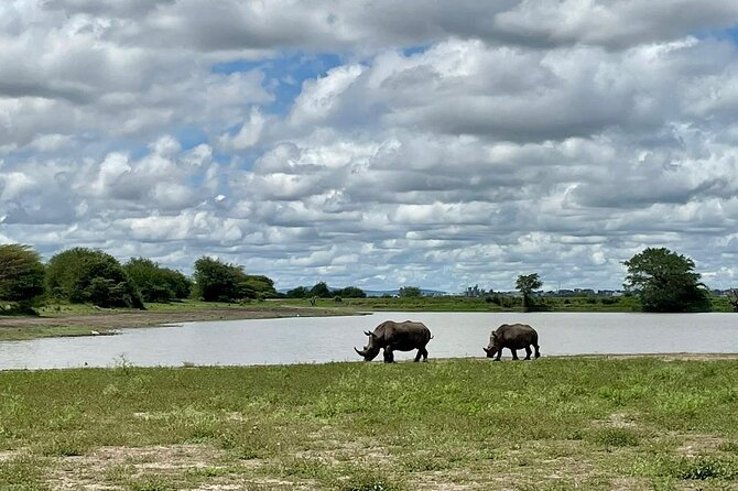 Half Day Private Tour in Nairobi National Park with Admission - Big Five focus in practice: lions, buffaloes, rhinos, and leopards