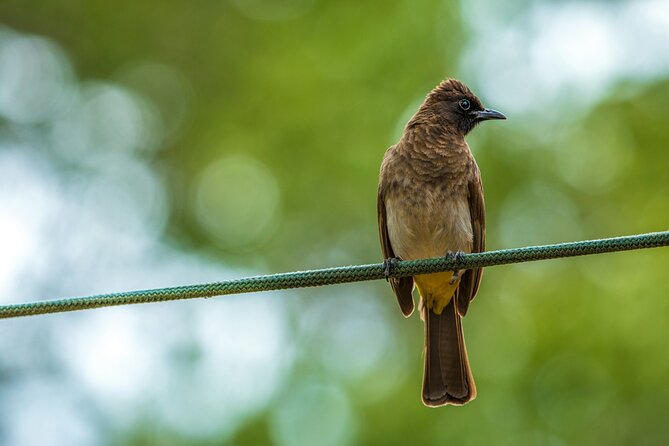 Half Day Safari at Nairobi National Park - What’s included, what’s not, and smart comfort choices